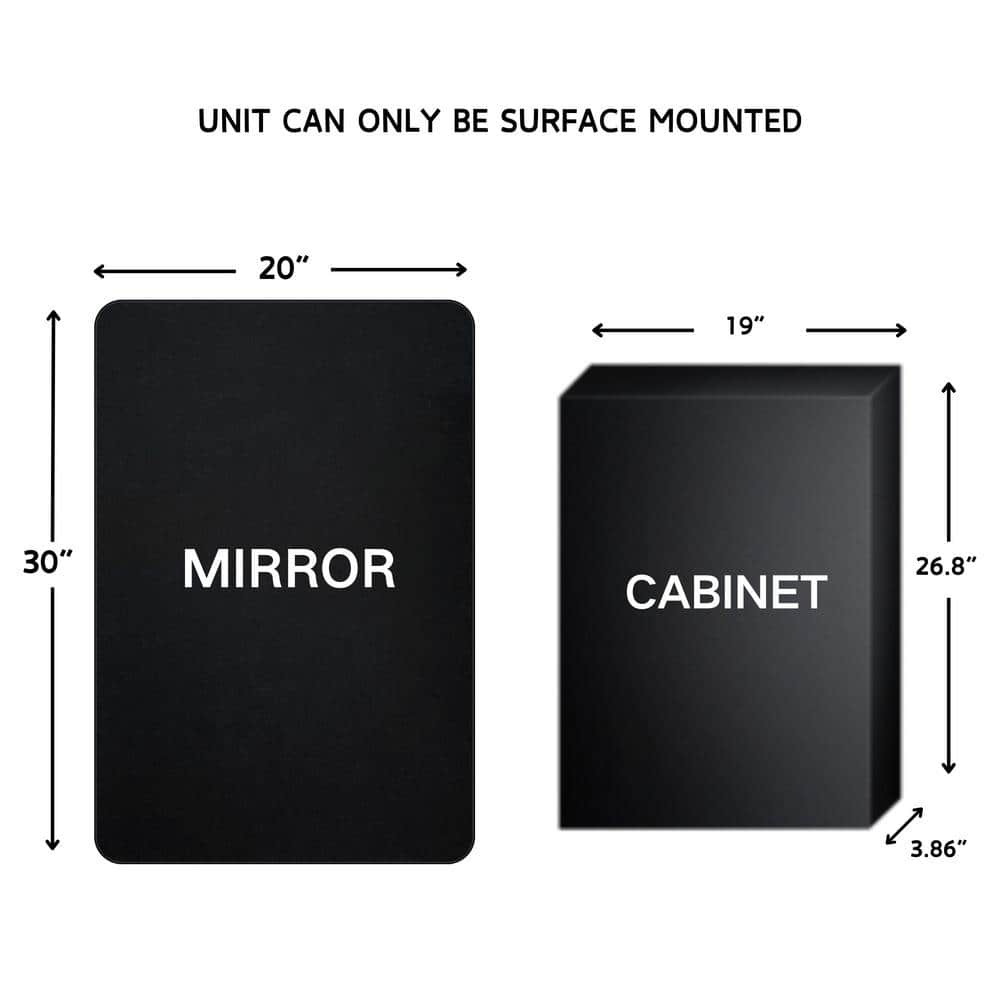 TEHOME Eldee 20 in. W x 30 in. H Surface Mount Rectangular Metal Framed Bathroom Medicine Cabinet with Mirror in Matt Black