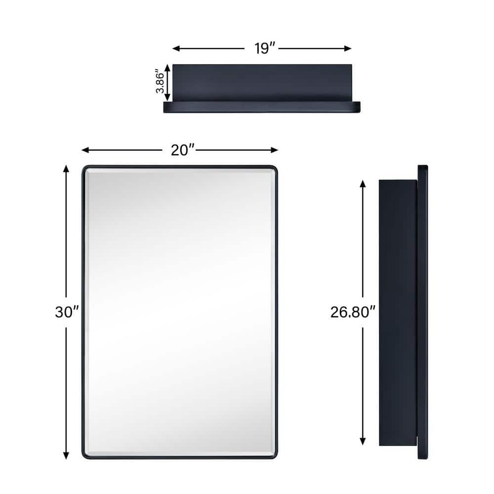 TEHOME Eldee 20 in. W x 30 in. H Surface Mount Rectangular Metal Framed Bathroom Medicine Cabinet with Mirror in Matt Black