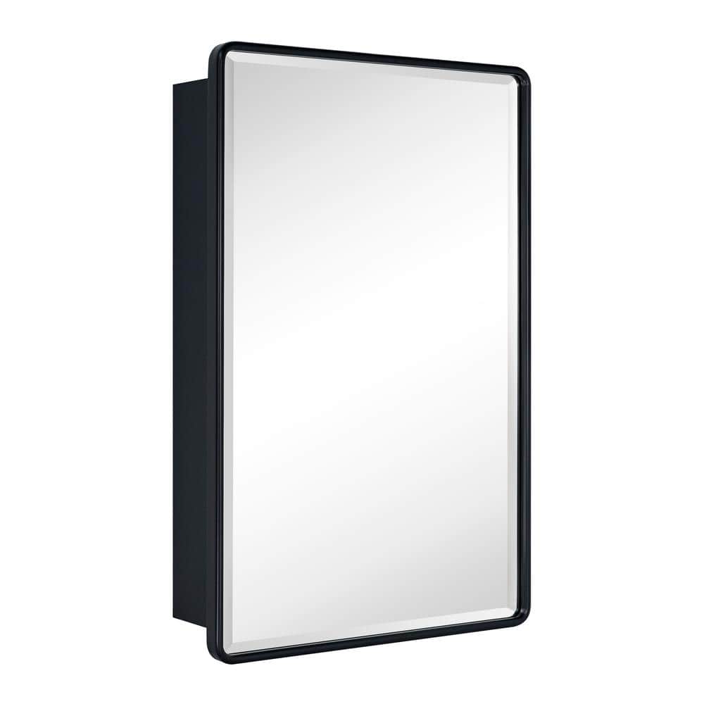 TEHOME Eldee 20 in. W x 30 in. H Surface Mount Rectangular Metal Framed Bathroom Medicine Cabinet with Mirror in Matt Black