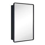 TEHOME Eldee 20 in. W x 30 in. H Surface Mount Rectangular Metal Framed Bathroom Medicine Cabinet with Mirror in Matt Black