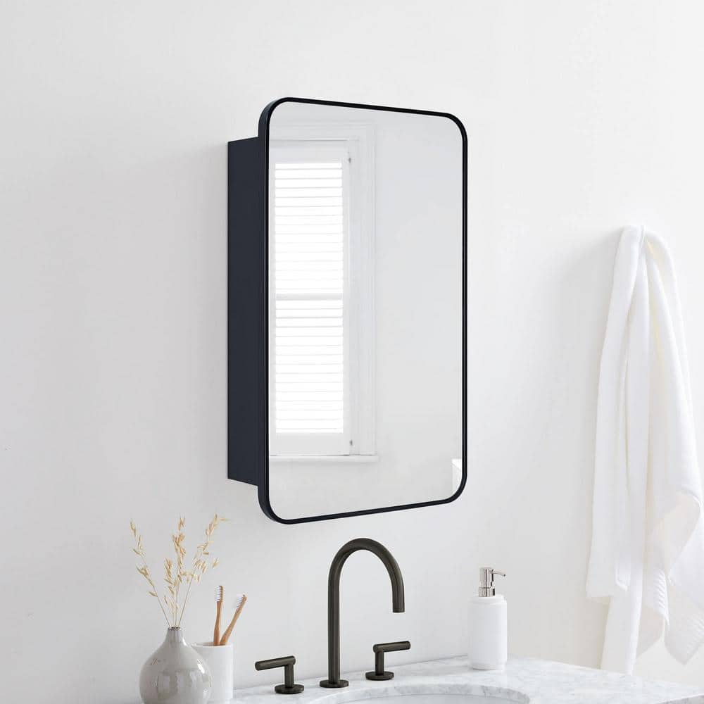 TEHOME Garnes 17.5 in. W x 29 in. H Rectangular Recessed or Surface Mount Metal Framed Medicine Cabinet with Mirror in Black