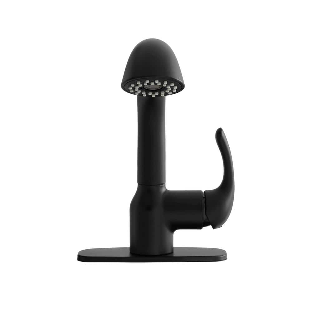 Glacier Bay Dunning Matte Black Pull-Out Laundry Faucet with Dual Spray Function
