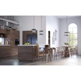 Progress Lighting Laramie Collection 4-Light Matte Black Rustic Modern Clear Seeded Glass Chandelier