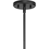 Progress Lighting Laramie Collection 4-Light Matte Black Rustic Modern Clear Seeded Glass Chandelier