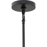 Progress Lighting Rivera 20.5 in. 4-Light Matte Black Luxe Industrial Chandelier with Textured Glass