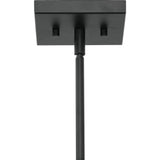Progress Lighting Boundary 30 in. 4-Light Matte Black Contemporary Chandelier for Dining Rooms, Great Rooms, Bedrooms with Chicory Accents