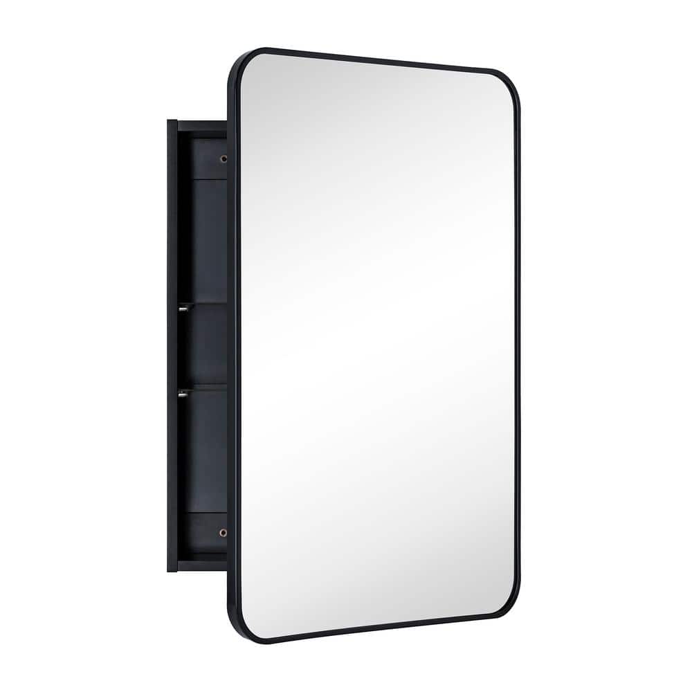 TEHOME Garnes 20 in. W x 30 in. H Rectangular Recessed or Surface Mount Metal Framed Medicine Cabinet with Mirror in Black
