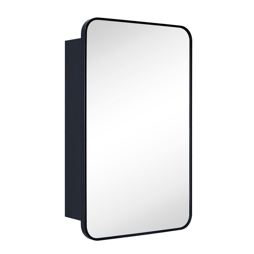 TEHOME Garnes 20 in. W x 30 in. H Rectangular Recessed or Surface Mount Metal Framed Medicine Cabinet with Mirror in Black