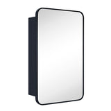 TEHOME Garnes 20 in. W x 30 in. H Rectangular Recessed or Surface Mount Metal Framed Medicine Cabinet with Mirror in Black