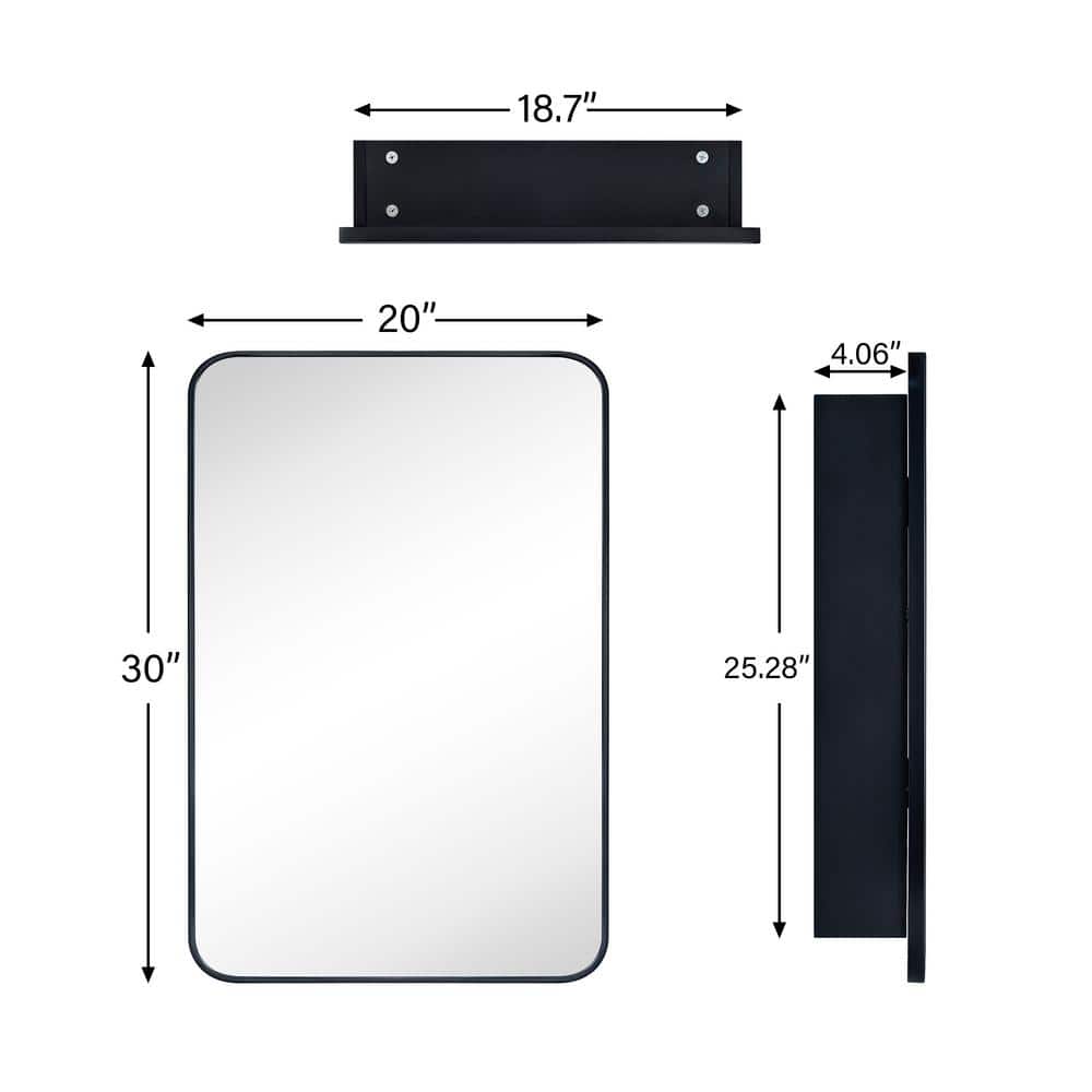 TEHOME Garnes 20 in. W x 30 in. H Rectangular Recessed or Surface Mount Metal Framed Medicine Cabinet with Mirror in Black