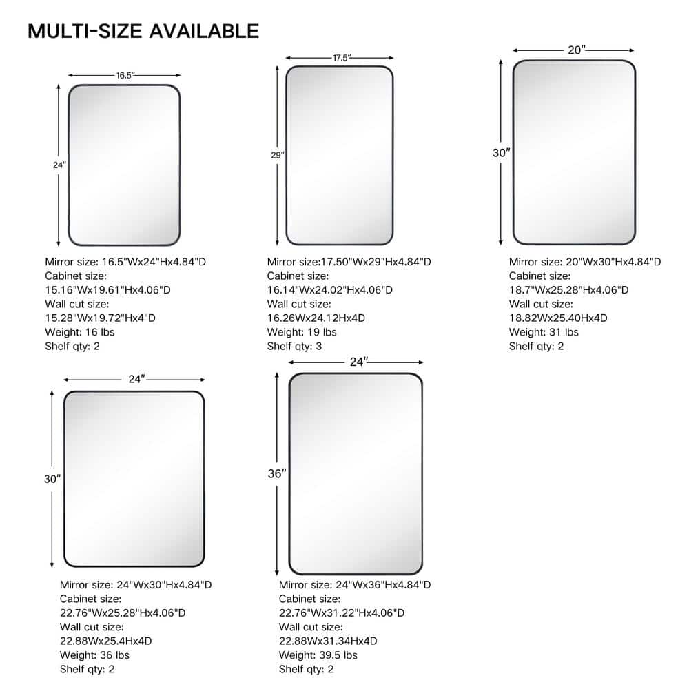 TEHOME Garnes 24 in. W x 36 in. H Rectangular Recessed or Surface Mount Metal Framed Medicine Cabinet with Mirror in Black