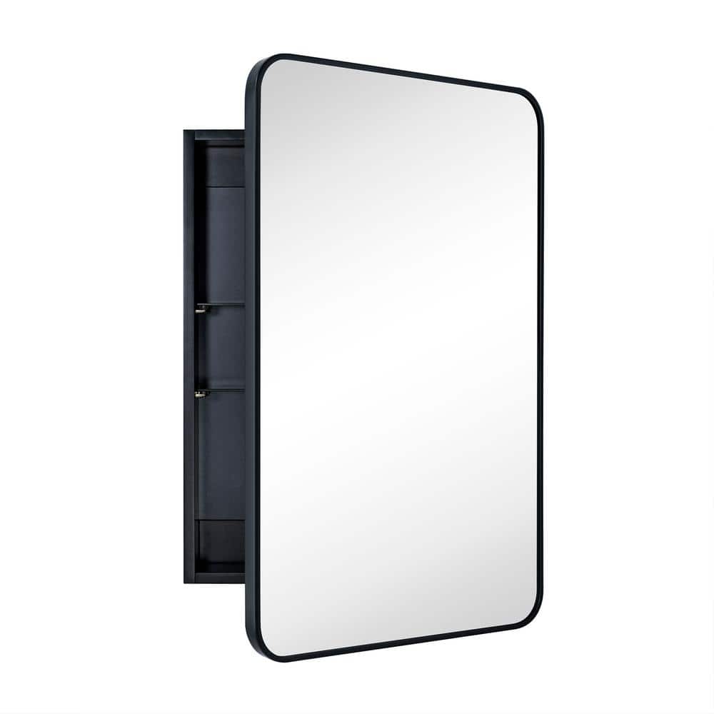 TEHOME Garnes 24 in. W x 36 in. H Rectangular Recessed or Surface Mount Metal Framed Medicine Cabinet with Mirror in Black