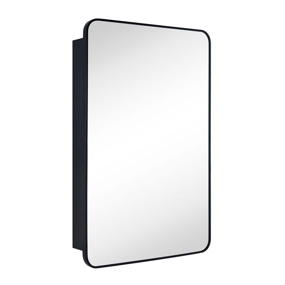 TEHOME Garnes 24 in. W x 36 in. H Rectangular Recessed or Surface Mount Metal Framed Medicine Cabinet with Mirror in Black