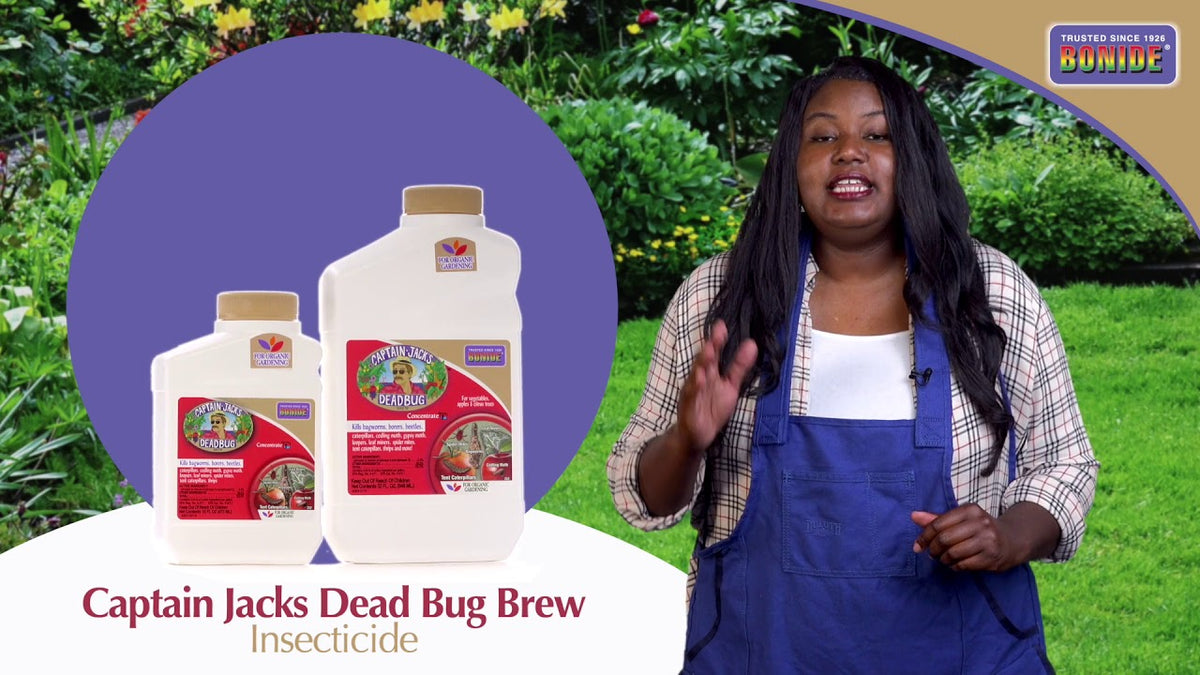 Bonide Captain Jack's DeadBug Brew Organic Concentrate Insect Killer, 16 oz