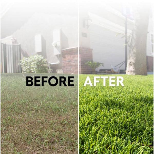 AstroLawn Allure 15 ft. Wide x Cut to Length Meadow Green Artificial Grass