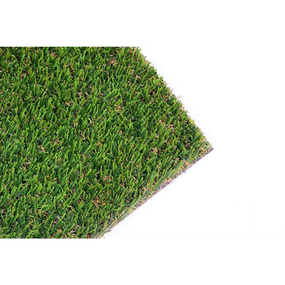 AstroLawn Allure 15 ft. Wide x Cut to Length Meadow Green Artificial Grass
