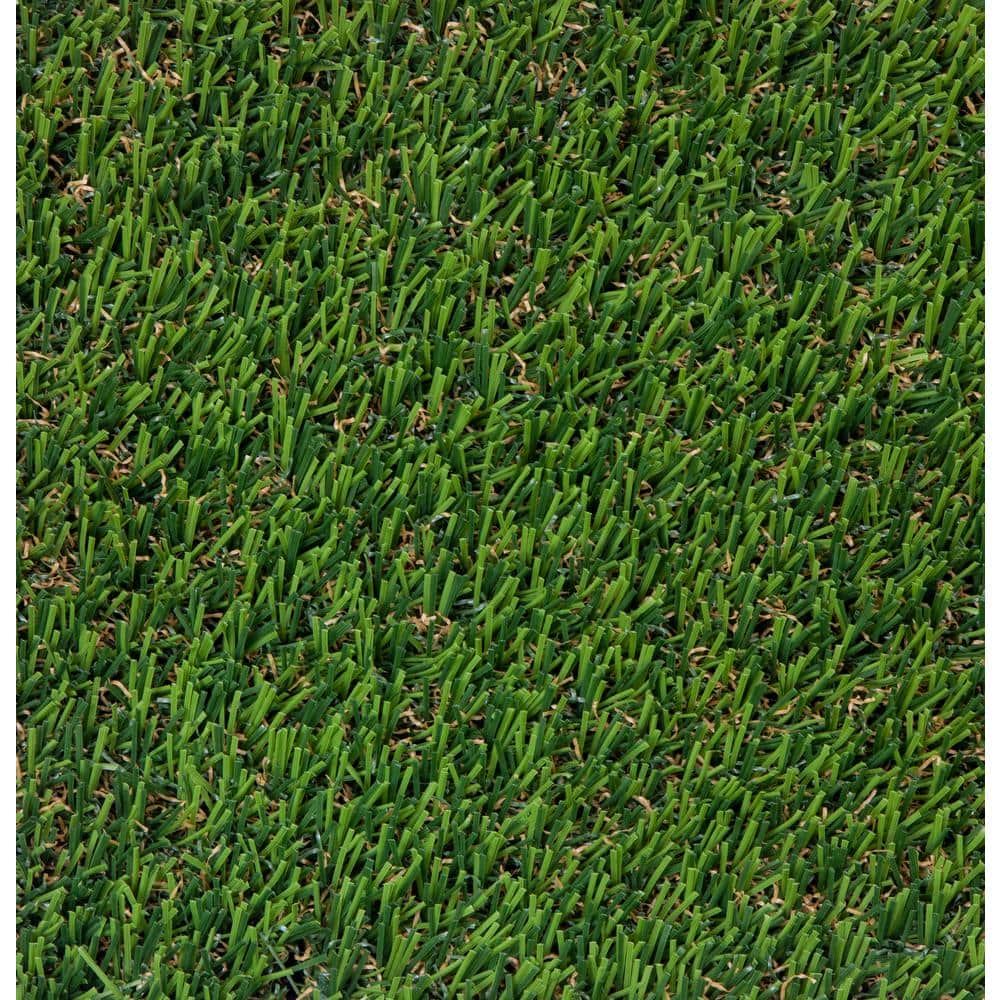 AstroLawn Allure 15 ft. Wide x Cut to Length Meadow Green Artificial Grass