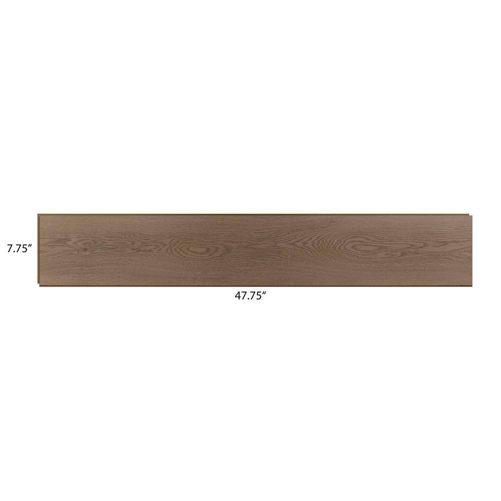 DIP Design Is Personal Mt St Helens Oak 10 mm T x 7.75 in. W Laminate Wood Flooring (20.4 sq. ft./8 planks)