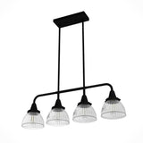 Hunter Cypress Grove 4 Light Natural Iron Billiard Chandelier with Clear Holophane Glass Shades Kitchen Light