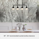 Hunter Cypress Grove 4 Light Natural Iron Billiard Chandelier with Clear Holophane Glass Shades Kitchen Light