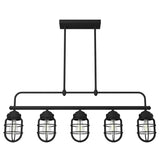 Hunter Starklake 5 Light Natural Iron Linear Chandelier with Metal Shades Kitchen Light