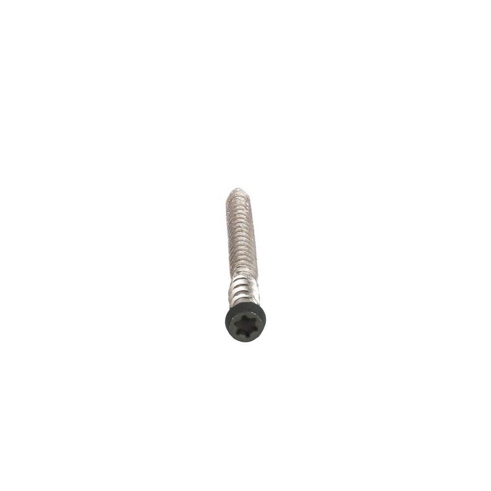 NewTechWood #10 x 2-1/2 in. Stainless Steel Star Drive Flat Undercut Composite Deck Screw Hawaiian in Charcoal (100-Pack)