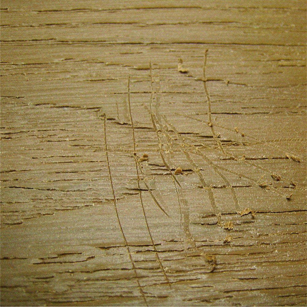 NewTechWood DeScratch Composite Decking Repair Kit in Brazilian Ipe