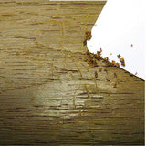 NewTechWood DeScratch Composite Decking Repair Kit in Brazilian Ipe