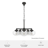 Hunter Saddle Creek 5-Light Noble Bronze Schoolhouse Chandelier with Clear Seeded Glass Shades
