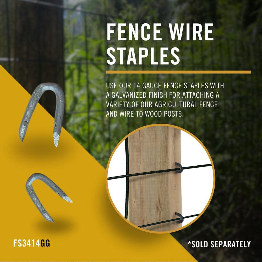 NUVO IRON Welded Wire Mesh 3 ft. x 50 ft. Utility Fence, 2 in. x 4 in. Rectangular Mesh, Hot Dipped Galvanized