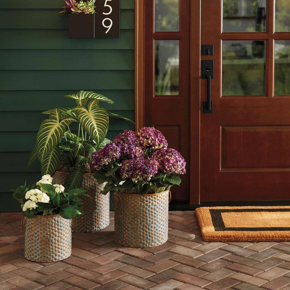 Pavestone Holland 7.87 in. L x 3.94 in. W x 1.77 in. H 45 mm Old Town Blend Concrete Paver (672-Piece/145 sq. ft./Pallet)