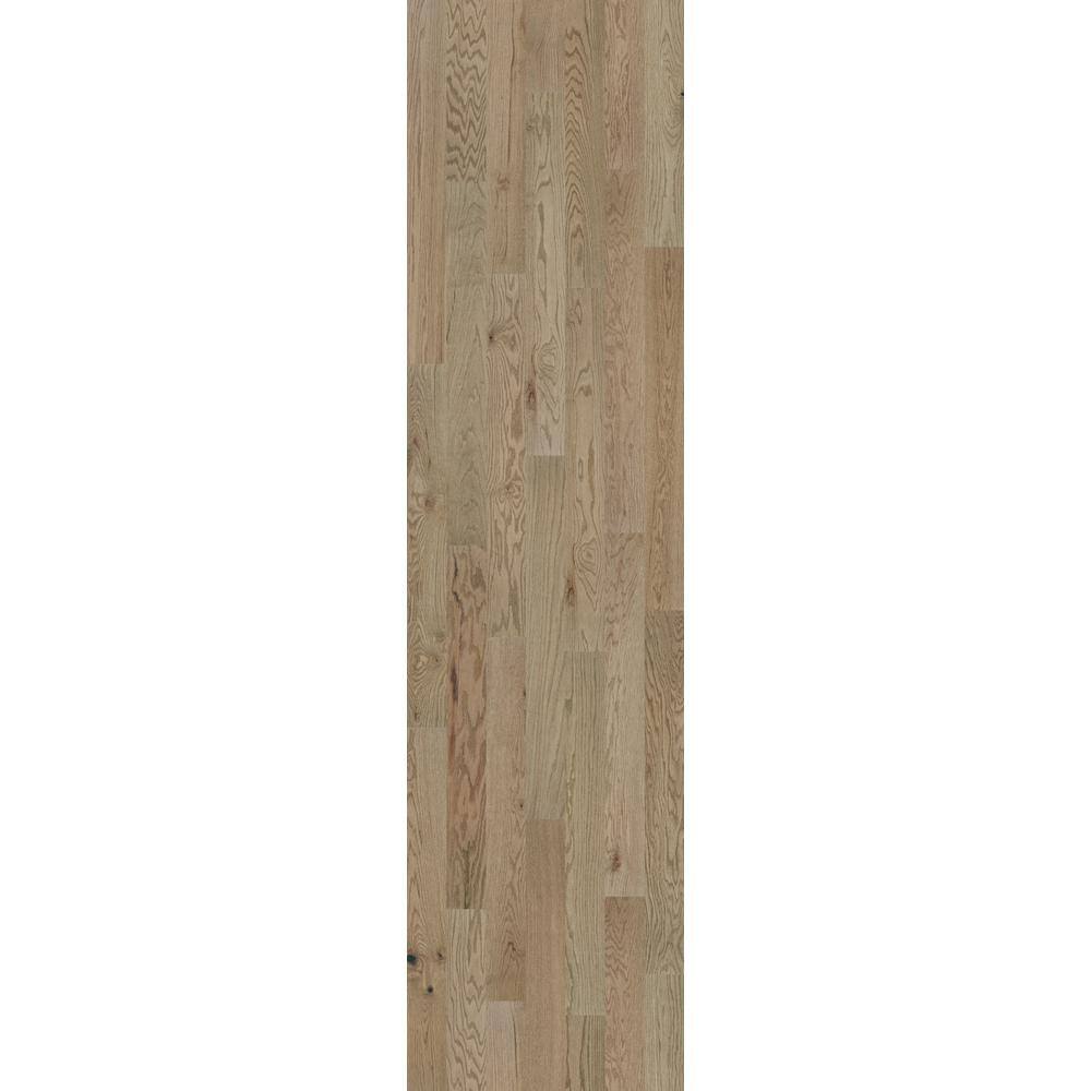Shaw Pavillion Oxen Red Oak 3/8 in. T X 6.3 in. W Tongue and Groove Engineered Hardwood Flooring (30.48 sq.ft./case)