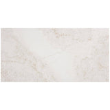 Daltile Canyon Gate Oyster White Matte 12 in. x 24 in. Glazed Porcelain Floor and Wall Tile (15.6 sq. ft./Case)