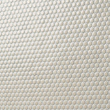 Eden Latte Beige Rimmed Hexagon Polished Porcelain Mosaic Tile