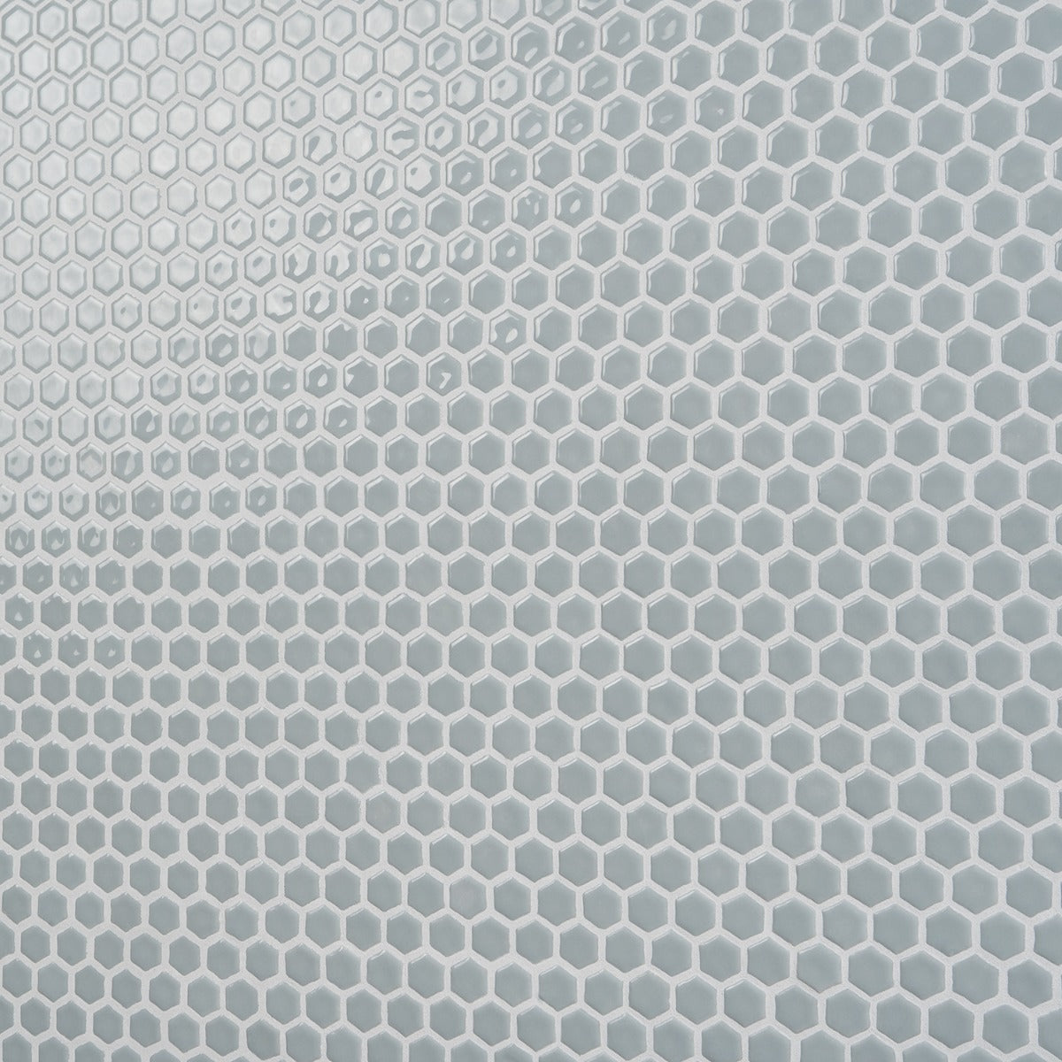 Eden Modern Gray Rimmed 1" Hexagon Polished Porcelain Mosaic Tile