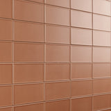 Stacy Garcia Maddox Frame Terracotta 4x8 Matte Ceramic Subway Tile