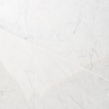 DreamStone Carrara Giola 24x24 Polished Porcelain Tile