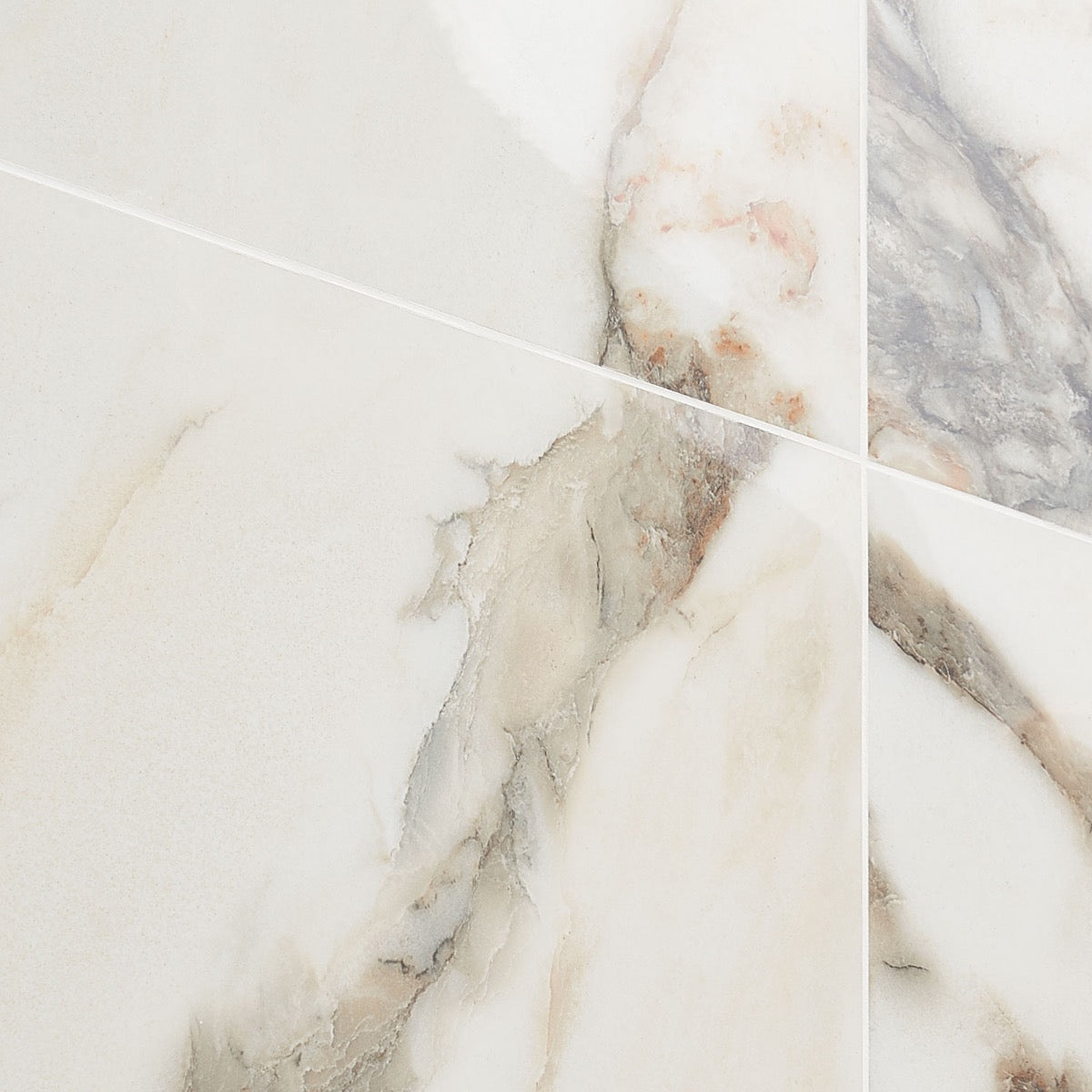 DreamStone Calacatta Rustico Polished Porcelain Tile - 24x24