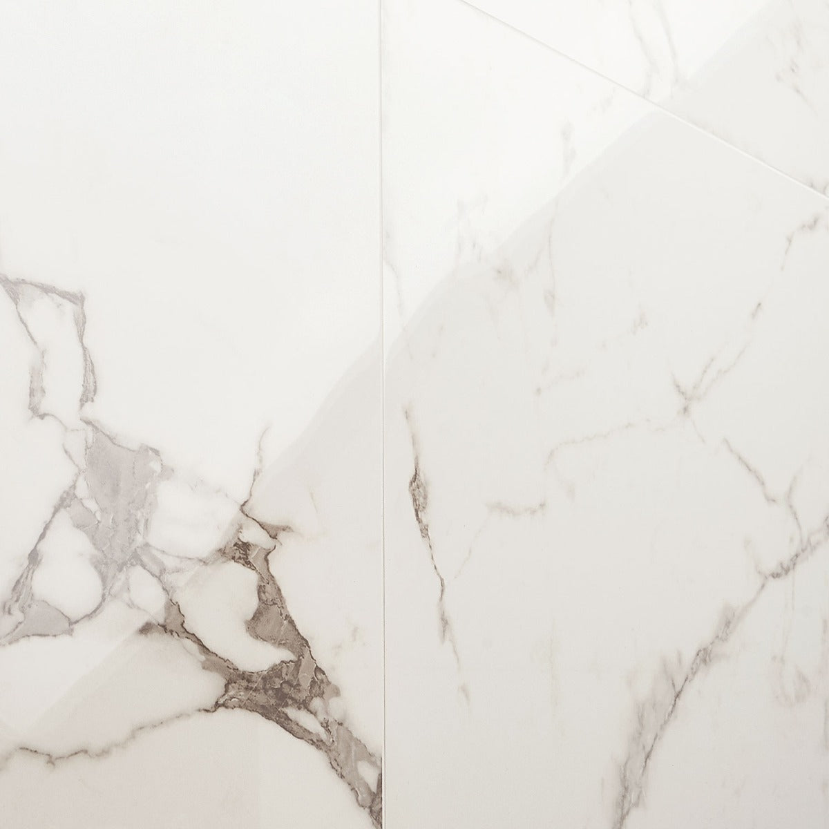 DreamStone Statuario Venato White 24x48 Polished Porcelain Tile
