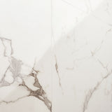 DreamStone Statuario Venato White 24x48 Polished Porcelain Tile