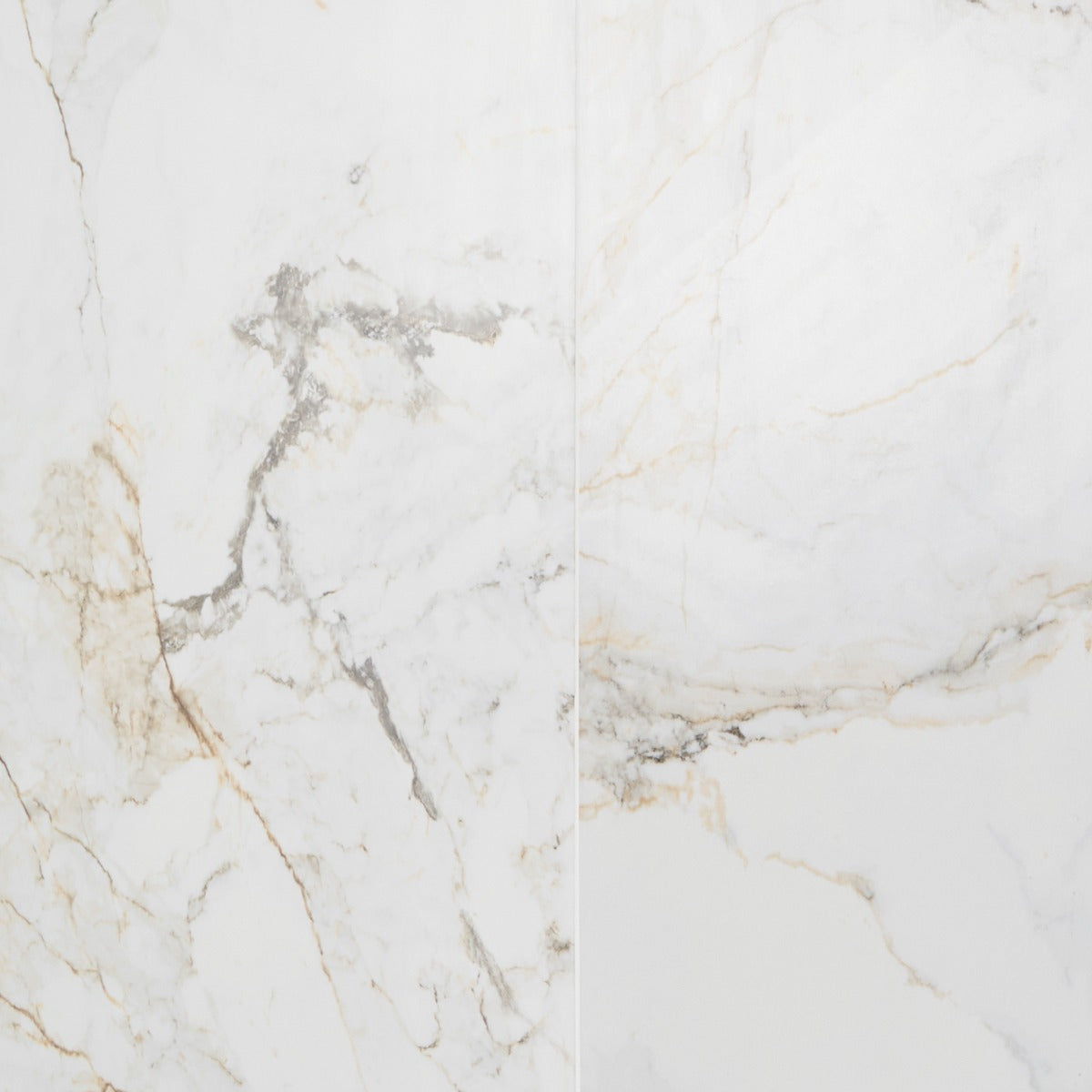 Tilebar Calacatta Macchia White Gold 48x48 Marble Look Matte Porcelain Tile