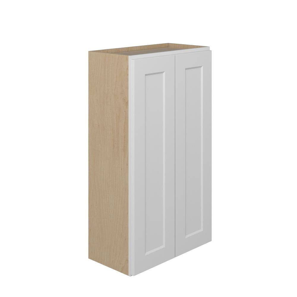 Norfolk Assembled 24 in. W x 42 in. H x 12 in. D Plywood Wall Cabinet in Painted White