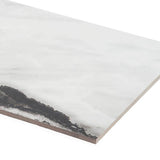 Saroshi Panda White 23.62 in. x 47.24 in. Polished Porcelain Floor and Wall Tile (15.5 sq. ft./Case)