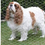 PEAK 25 ft. L x 24 in. H Galvanized Steel Hexagonal Wire Netting with 1 in. x 1 in. Mesh Size Garden Fence