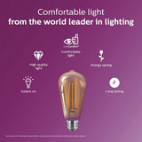 Philips 40-Watt Equivalent ST19 Dimmable Vintage Glass Edison LED Light Bulb, Amber Warm White 2000K (1-Bulb)