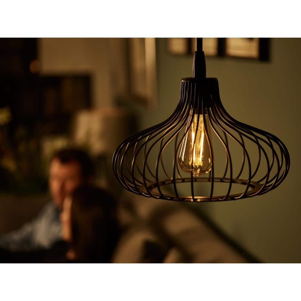 Philips 40-Watt Equivalent ST19 Dimmable Vintage Glass Edison LED Light Bulb, Amber Warm White 2000K (1-Bulb)