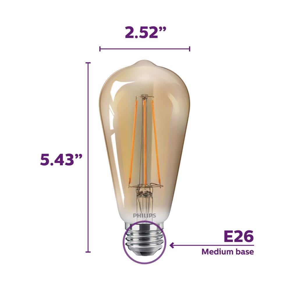 Philips 40-Watt Equivalent ST19 Dimmable Vintage Glass Edison LED Light Bulb, Amber Warm White 2000K (1-Bulb)