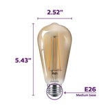 Philips 40-Watt Equivalent ST19 Dimmable Vintage Glass Edison LED Light Bulb, Amber Warm White 2000K (1-Bulb)