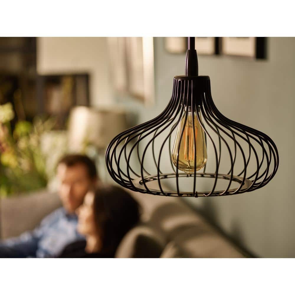 Philips 40-Watt Equivalent ST19 Dimmable Vintage Glass Edison LED Light Bulb, Amber Warm White 2000K (1-Bulb)