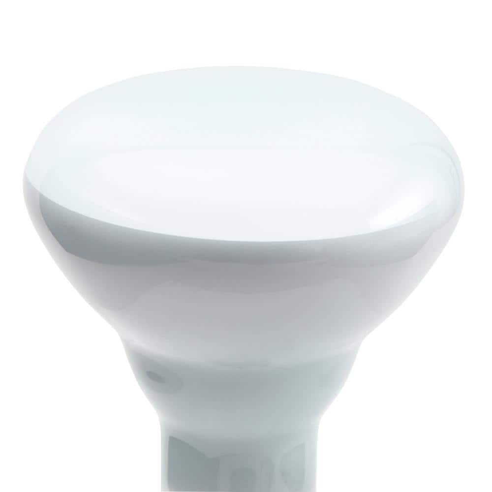 Philips 45-Watt BR30 Incandescent DuraMax Flood Light Bulb, Soft White 2700K (3-Pack)